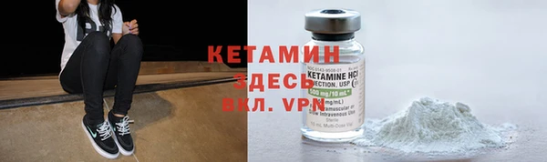 крисы Аркадак