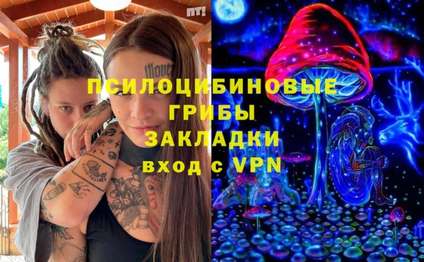 крисы Аркадак