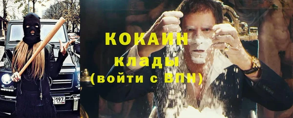 крисы Аркадак
