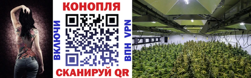 мега как войти  Карачаевск  Конопля THC 21% 